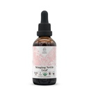 Stinging Nettle Leaf USDA Organic Alcohol- Free Extract CLAS124; Dietní dodatek, high- potency tinktura CLAS124; přírodní certifikované organické štípající nettle (Urtica Dioica) Sured Leaf (2 oz)