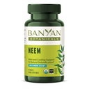 Banyan Botanicals Neem Tablets - Organic Neem Leaf (Azadirachta Indica) - Podporuje přírodní detoxikaci, zdravou pleť a imunitní zdraví * - 90 Tablety - Non- GMO Udržitelně Sourced Vegan