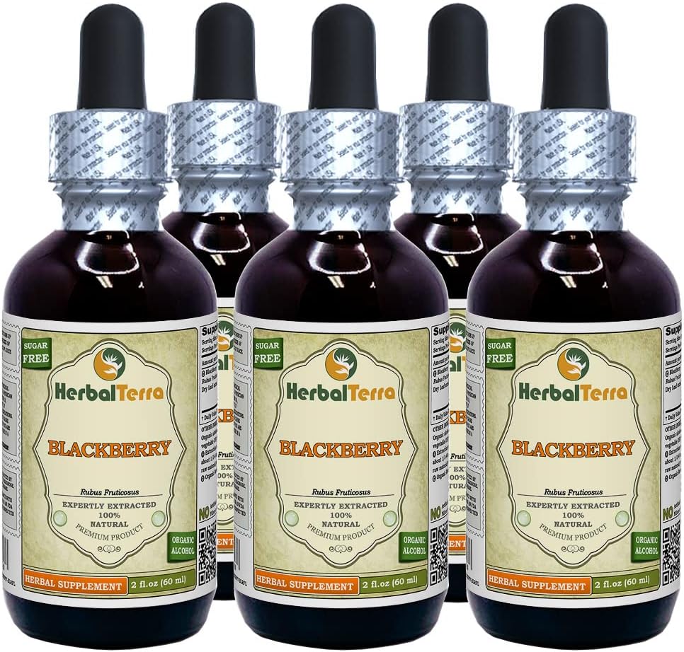 BlackBerry (Rubus fruticsus) tinktura, Organic Sured Leaves Liquid Extract (Značka: HerbalTerra, Proudly Made in USA) 5x2 fl.oz (5x60 ml)