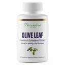 Paradise Herbs Olive Leaf Extract ze španělských andaluských olivových stromů, Super potent, Ultra Pure, Non-GMO, Vegan, Gluten Free, 60 Vegetariánských kapslí