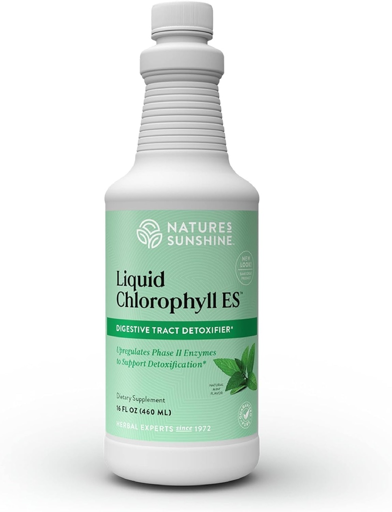 Příroda je slunce tekutý chlorofyl Extra síla - Podpora imunity, Detox & Cleanse, Chlorofyl kapalné kapky s Spearmint Oil, Natural Energy Boost, Vnitřní deodorant - 16 Fl Oz
