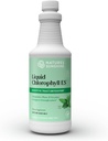 Příroda je slunce tekutý chlorofyl Extra síla - Podpora imunity, Detox & Cleanse, Chlorofyl kapalné kapky s Spearmint Oil, Natural Energy Boost, Vnitřní deodorant - 16 Fl Oz
