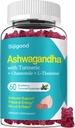 Ashwagandha Gummies, Podpora imunity, Relaxace, Ashwagandha doplňky pro muže a ženy, Přírodní borůvkový Flavor, 60 Počet