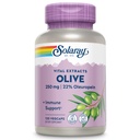 SOLARAY Olive 250mg - Extrakční kapsle Olive Leaf s 22% Oleuropeinem, Plus Lemon Balm - Polyfenoly dodatek pro wellness podporu - Vegan, 60- denní záruka, Laboratorní ověřené - 120 Služeb, 120 VegCaps