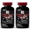 Zvyšte sexuální apetit - TRIBULUS TERRESTIS EXTRACT - Tribulus terrestris extrakt pro zdroj energie, Sex drive pilulky pro muže a ženy, Sex drive pilulky, Libido booster - 2 Lahve 180 Tablety