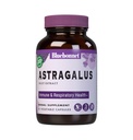 BlueBonnet Astragalus Root Extract Dodatek, 60 Počet