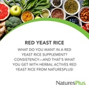 NaturesPlus Herbal Actives Red Yeast Rice - 120 Vegetarian Capsules, Pack of 2 - Maximum Potency Herbal Supplement - Gluten Free - 240 Total Servings