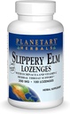 Planetární Herbals Slippery Elm Lozenges, 100 Počet
