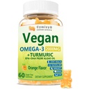 Vegan Omega 3 & Turmeric Gummies 2500mg, Řasy Omega 3 DHA 800mg & EPA 400mg, s MSM, vitamín D3, Kurmeric kořenový extrakt pro mozek, oko, kloub, rybí olej doplňky Alternative, cukr bez