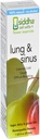 Siddha Remedies Lung & Sinus Spray for Sinus Relief, Congestion Relief, Cough Conpressant, Cold Medicine, Runny Nose Relief 124; Homeopatické alergie Medicine Relief 124; Non GMO w / Cell Salts, No Alkohol, Cukr