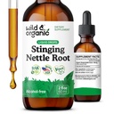 Wild & Organic String Nettle Root Drops - String Nettle Extract Tinkture for Men & Women - Liquid Urtica Dioica Supplement - Vegan, Sugar & Alcohol- Free - 2 fl oz