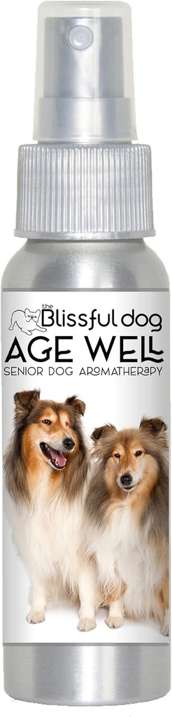 Požehnaný pes Shetland Sheepdog věk dobře sprej aromaterapie