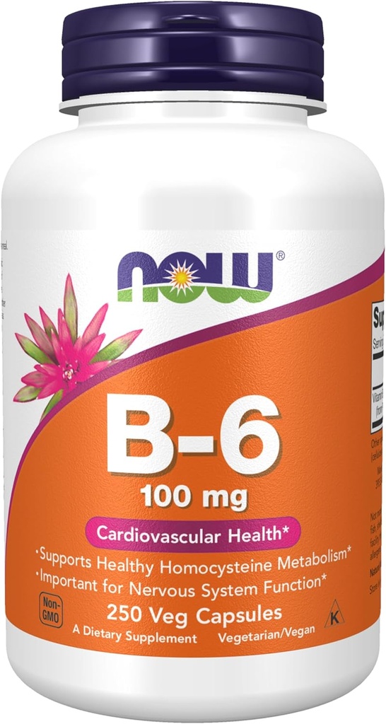 Nyní Potraviny doplňky, Vitamin B- 6 (Pyridoxin HCl) 100 mg, Kardiovaskulární zdraví, 250 Veg Kapsle
