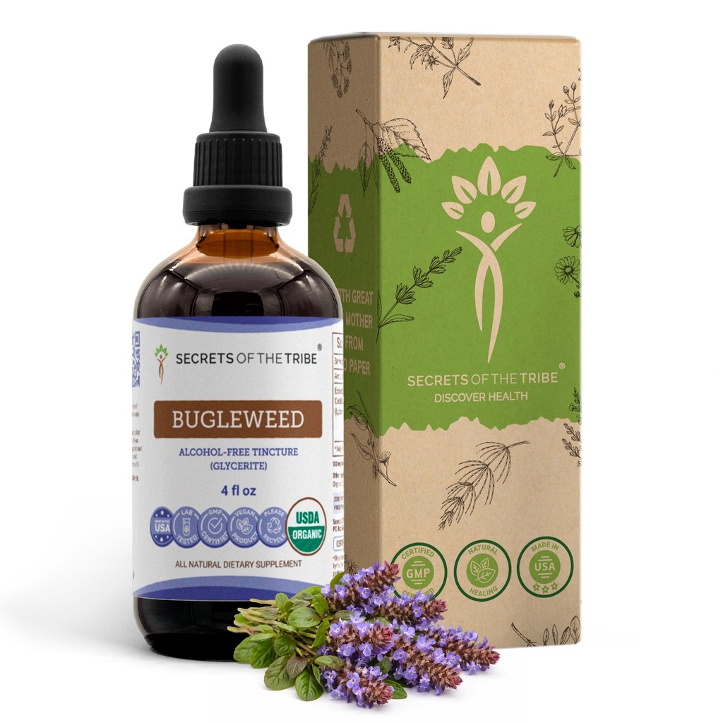 Tajemství kmene Bugleweed Tincture Alcohol- Free Liquid Extract, USDA Organic Bugleweed (Lycopus Virginicus) Sušený Herb (4 FL OZ)