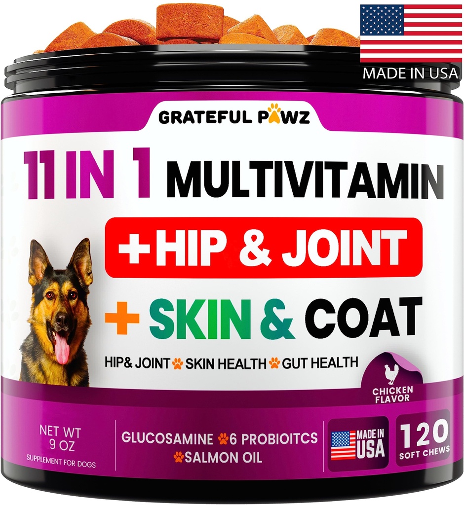 Pet Chondroitin Hip a společná podpora zdraví, imunitní booster, kůže, srdce, probiotika