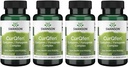 Swanson Controlled Release Curqfen Curcumin / Fenugreek Complex 60 Veg Kapsle (4 balení)
