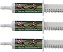 Vysoký Endurance Oral Paste Koňský dodatek pro koně - 3-Pack. Elektrolyty, vitaminy a minerály pomoci zabránit dehydrataci. Tři 60- ml Easy- dávkovací stříkačky. Cox Veterinary Lab. Made in USA.