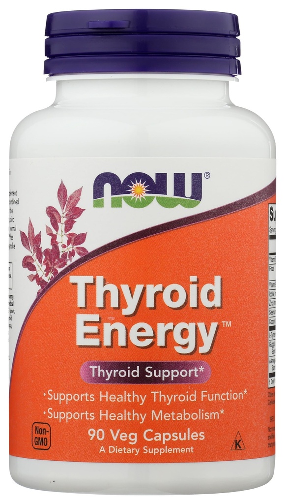 TEĎ POTRAVINÁŘSKÁ štítná energie, 90 CT