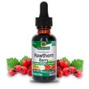 Příroda odpověď Hawthorn Berries CLAS124; Podporuje zdravé cirkulační funkce CLAS124; Pomáhá udržet zdravé hladiny cholesterolu CLAS124; Gluten- Free, Alkoholo- Free, Kosher Certified & No Preservatives 1oz