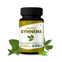 Gymnema 120 Tablet - USDA Organic Gymnema Sylvestre Dodatek