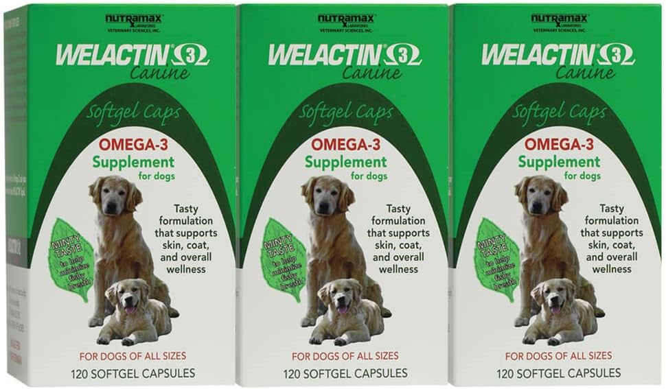 Nutramax Wellactin Omega-3 Rybí olej kůže a coat doplněk zdraví tekutý pro psy - 3 balení, 360 Total Softgels