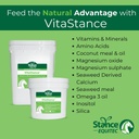 Stance Equitec Vitastance Vitamin, Minerální a aminokyseliny dodatek pro koně, 28.5 lb