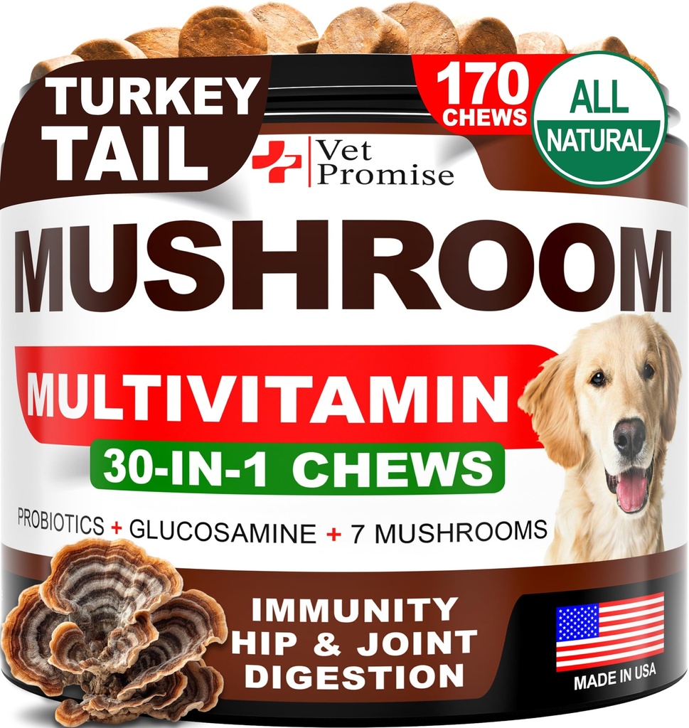 Houba pro psy - 170 Žvýkačky - Turecko Tail - Houbový dodatek pro psy - Lví hříva - Reishi - Podpora imunity Multivitamin Vitamíny - Společné zdraví - Energie - Gut - Skin - Made in USA