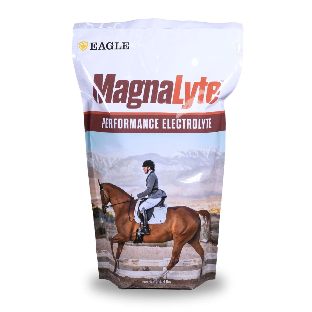 MagnaLyte Loose Salt and Electrolytes for Horses by Eagle Equine OF 124; Mineral sea Salt, Trace Minerals, Electrolytes OF 124; 4 LB Bag
