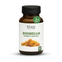bixa BOTANICAL Boswellia Serrata Extract Pure Premium Quality 65% Bothelic Acid Appendic 124; Ayurvedic Natural Herbal Supplementary Př. 124; (450 Mg 60 Veg Kapsle)