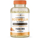 Boswellia Serrata Extract Joint Supplement by Powered by Rostliny - 65% vysoká potence Boswellic Acids with BioPerine - Podporuje imunitu, mobilitu a flexibilitu - 120 Vegan Kapsle