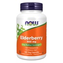 Nyní Potraviny doplňky, Elderberry (Sambucus nigra) 500 mg, 10: 1 Koncentrát, 120 Veg Kapsle