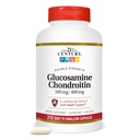 21. Století Glucosamine Chondroitin 500 / 400mg - Double Force, cp 210 Count