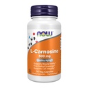 Nyní Potraviny doplňky, L- Carnosinus (Beta- Alanyl- L- Histidin) 500 mg, zdravé stárnutí, 50 Veg Kapsle