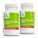 Terry Přirozeně Andrographis EP80 Extra Strength - Brain Health & Immunication Support - Společná zdravotní podpora pro mobilitu pomoci - Dodatek adaptogen pro podporu energie a jater - 60 Kapsle (Balení po 2)