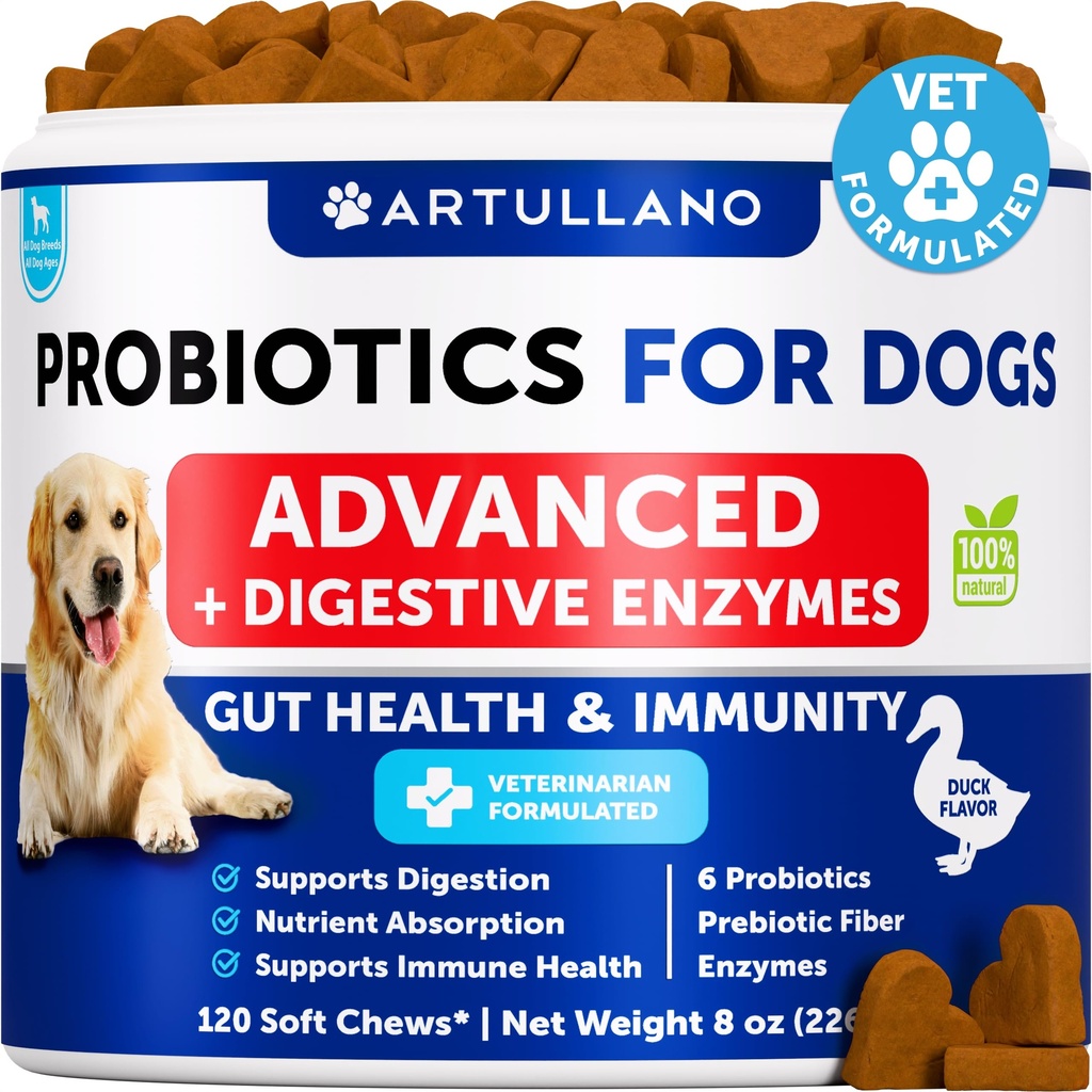 Probiotika pro psy - Podpora Gut Health, Itchy Skin, Alergie, Imunita, Kvasinková rovnováha - Psí probiotika a trávicí enzymy s prebiotiky - Snížit průjem, plyn - 120 Probiotické žvýkání pro psy