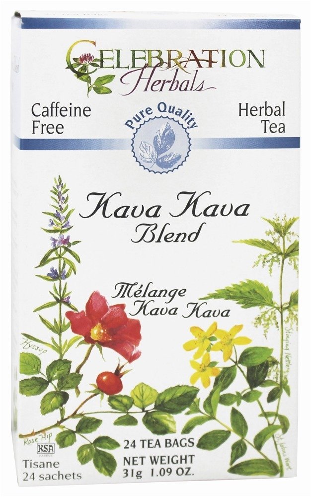 VELEBRAČNÍ HERBALS BIO Kava Kava Tea, 24 CT
