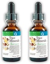 Morter Trace Minerály v koloidní suspenze (2 Pack) Morter HealthSystem Best Process Alkalin - Nutrient Dense Trace Elements, Fulvic Minerals & Amino Acids