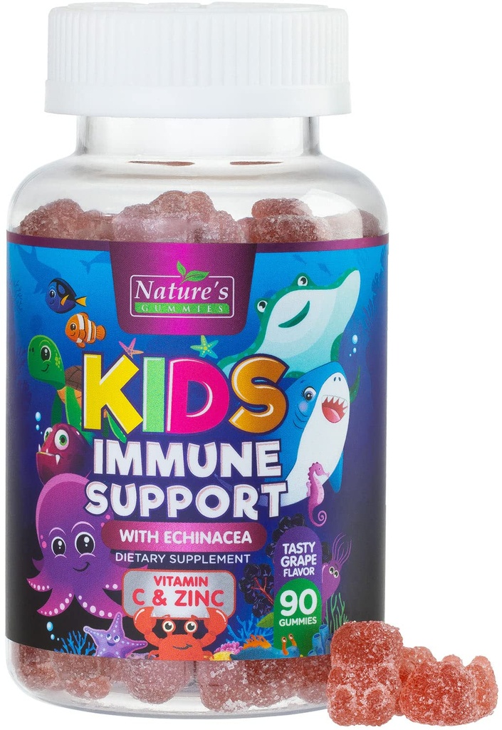 Kids Imunity Support Supplement Gummies - Denní Children Vitamíny C, Zinek & Echinacea - Gummy pro děti Imunity Support, Ages 4 and Up, Natural Berry Flavor, Non- GMO, Gluten- Free & Vegan - 90 Gummies
