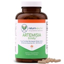 Artemisia Trinity S124; Čištění pro dospělé s Wormwood Herb & Artemisinin 30: 1 Extract S124; Odpor a stravitelná podpora S124; Bylinné doplňky S124; Čisté, Plant- based, 90 Caps
