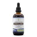 Tajemství Tribe Spirulina Alcohol- Free Liquid Extract, Spirulina (Arthrospira Platensis) Dodatek k tinktuře (4 FL OZ)