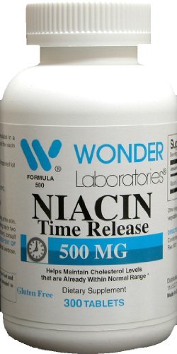 Wonder Laboratories High Potancy Time Release Niacin (Vitamin B3) 500 Mg 300 Tablety Non- GMO, gluten zdarma dodatek