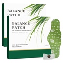 2PCS Bylinné Patch Pad Balance - Plant- Based Ingredients, Komfortní adhesivní design, Easy Topical Use, Promotes Abdominal Comfort Non- Irritating Design