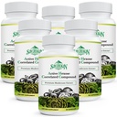Active Hexose Související Compound 1500 mg dodatek, Natural 8 Houba Extract dodatek, imunitní systém, funkce jater, Natural Killer and T Cells Activity, 540 Veggie Kapsle
