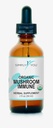 Imunitní ochrana proti organickým houbám Kapky s maximální absorpcí a biologické dostupnosti PHARMAN 124; Vegan, Herbal 525mg na Serving ● 2 měsíce Dodávka