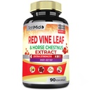 Red Vine Leaf Extract Kapsle - s koňské kaštany, řepný kořen, zázvor - Bylinný doplněk pro srdce, Leg Vegin & Energy - 90 Vegan Kapsle na 45 dní