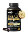 Shilajit Kapsle pro muže a ženy, 16,000mg Čisté Himalájské organické Shilajit podporuje Vitalitu a Wellness, Premium Čisté Himalájské Dodatek 2 Měsíce Dodávka, 60 Kapsle