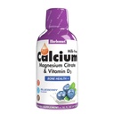 Bluebonnet Nutrition Liquid Calcium Citrát hořčíku Citrát, Vitamin D3, Bone Health, Gluten Free, Soy free, bez mléka, kosher, 32 Servings, Blueberry Flavor, 16 Fl Oz (balení po 1)