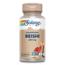 SOLARAY Reishi Houba 600mg - Reishi Houba Kapsle pro imunitní podporu - Vegan, Laboratoř ověřena - 60denní záruka vrácení peněz - 100 Služeb, 100 VegCaps