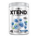 Xtend XTEND Original BCAA Powder 7g BCAA and 2.5g L-glutamin, Cukr zdarma příspěvek cvičení Muscle Recovery drink s aminokyseliny pro muže a ženy, 30 Služeb