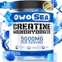 Creatine Monohydrát Žvýkačky pro muže a ženy 5000mg Creatine Monohydrát per Serving for Muscle Support Energy Boost 120 Počet Žvýkací 5g Creatin Supplement Cukr zdarma Vegan (1 balení, modrá Raspberry)